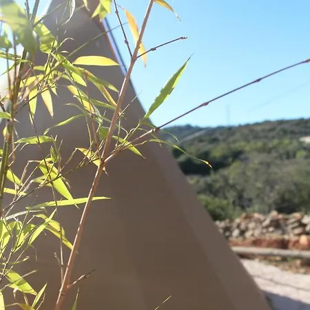 Alojamento de Turismo Rural Masbelvedere